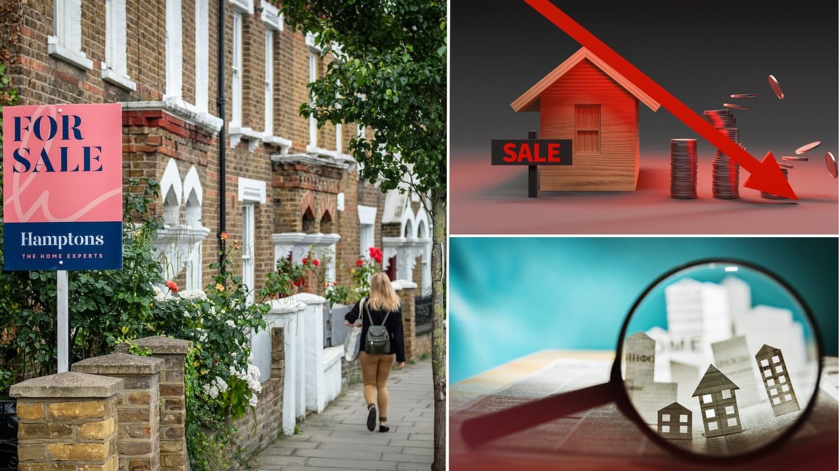 Golden age of house price growth is over, economists claim