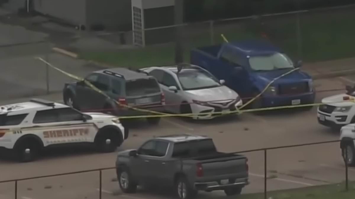 Girl, 9, bakes to death in car after mom left her with snacks and water while she worked