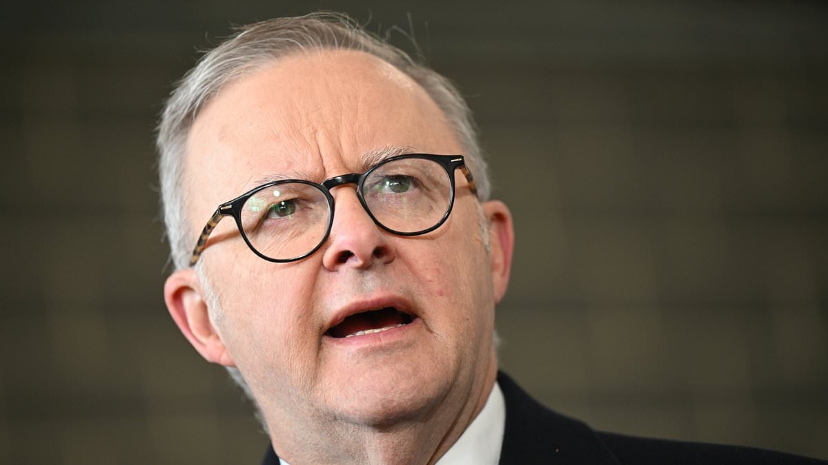 Anthony Albanese is slammed as the PM reveals his top ten Australian songs of all time: 'What a disgrace!'