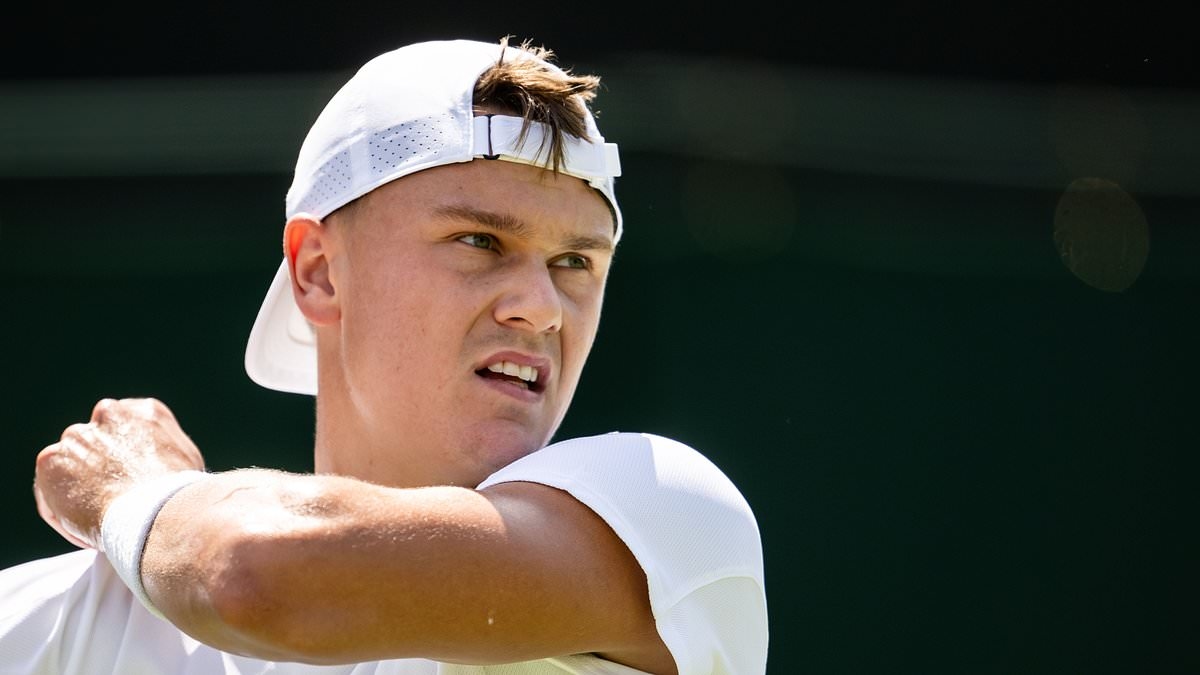 Wimbledon star 'banned by his sponsor' from selling his broken rackets for £5,200