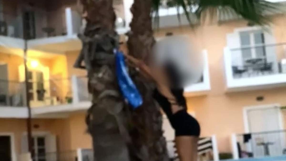Moment Brits get revenge on 'selfish' Zante holidaymakers for reserving sunbeds - by 'hiding' their towels and flinging them up trees