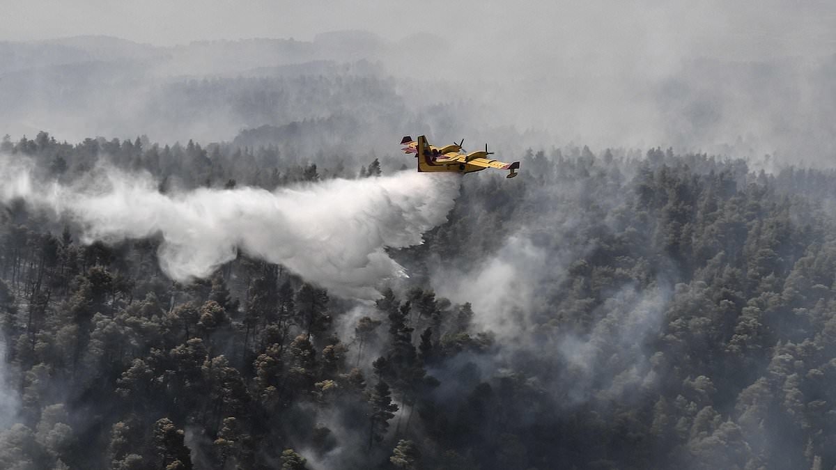 Mass evacuations in Crete as wildfire threatens tourists
