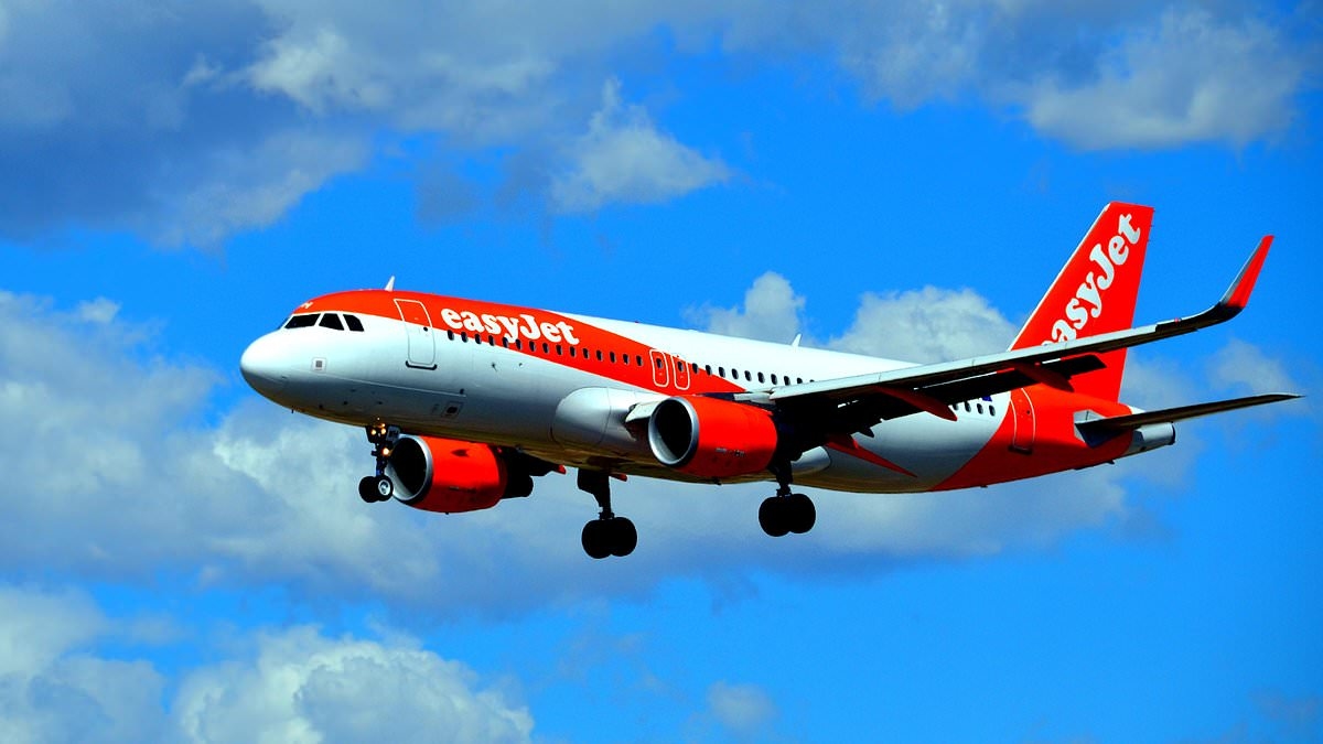 Pee-syjet! UK flight to Tenerife is met by police after passenger urinates in the aisles