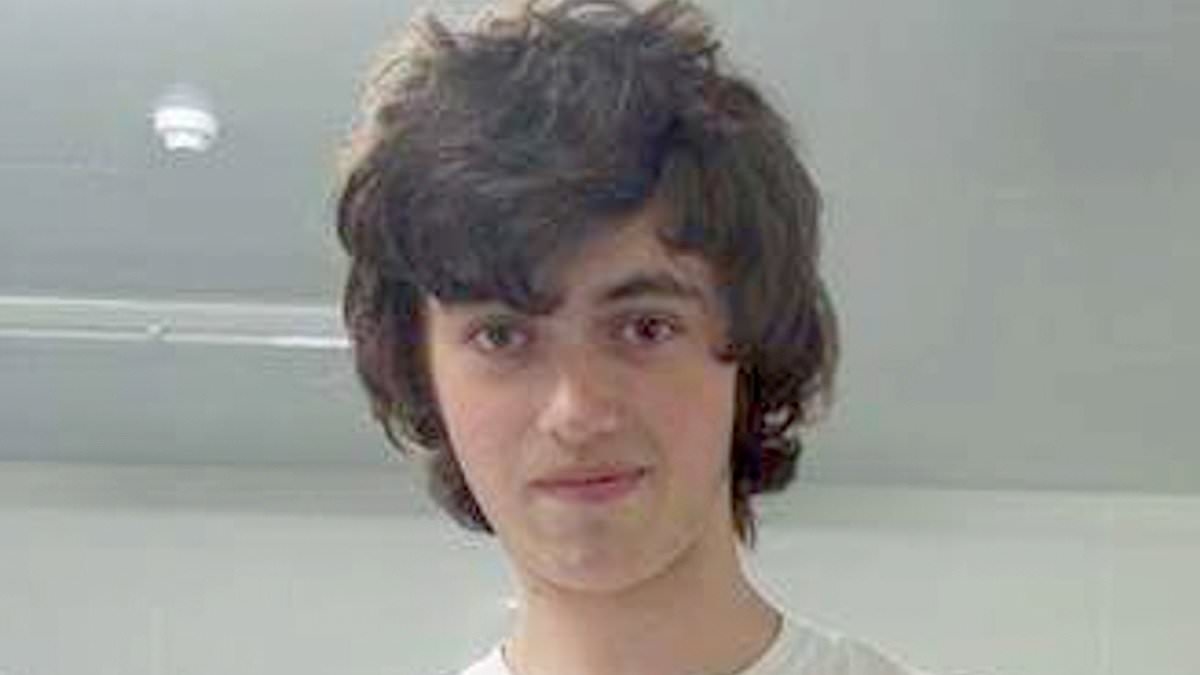 'Lethal' gas heater which poisoned university student, 18, with carbon monoxide had 'no visible warning label', coroner rules