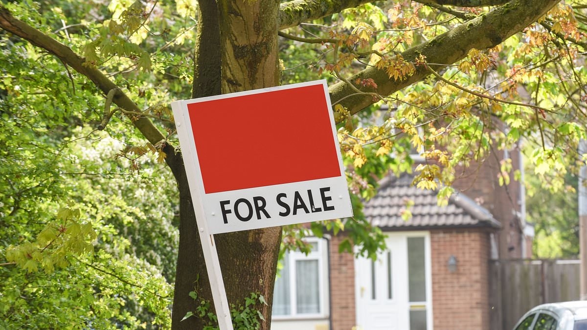 Ofsted boss reveals why controversial new school rating system could affect house prices