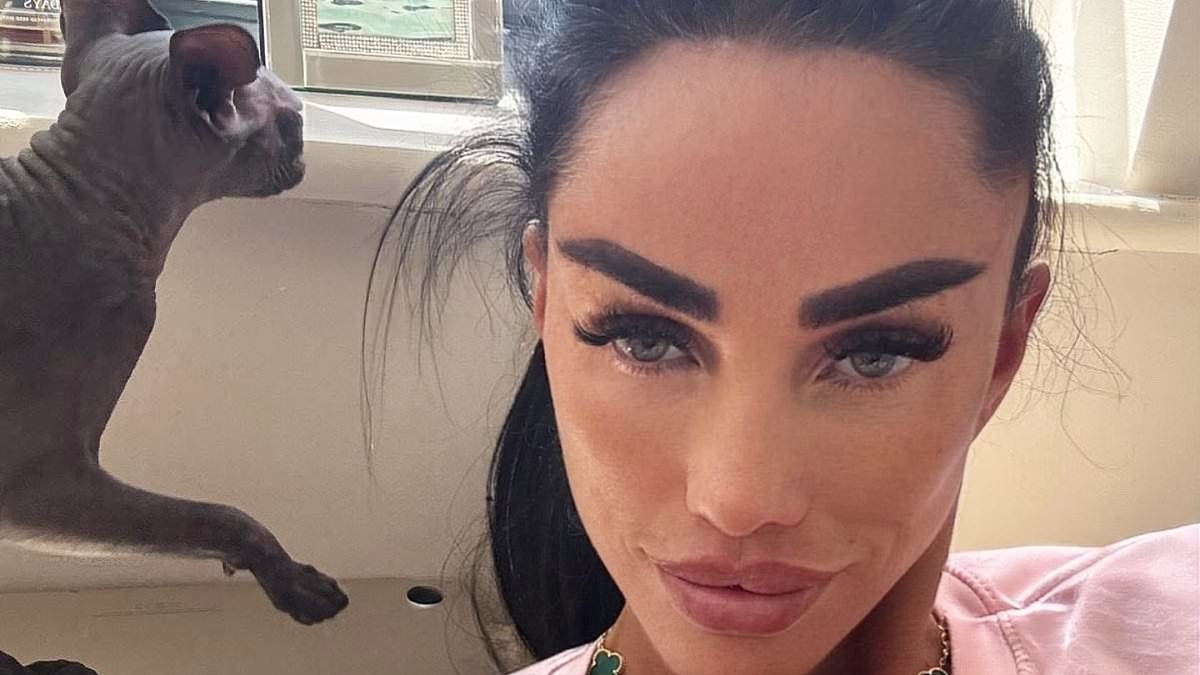 Katie Price forced to move out of £5k-a-month rental property - one year after being evicted from her Mucky Mansion