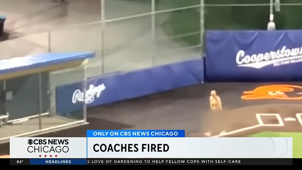 Youth baseball coaches fired for stripping naked in front of kids as disturbing footage emerges