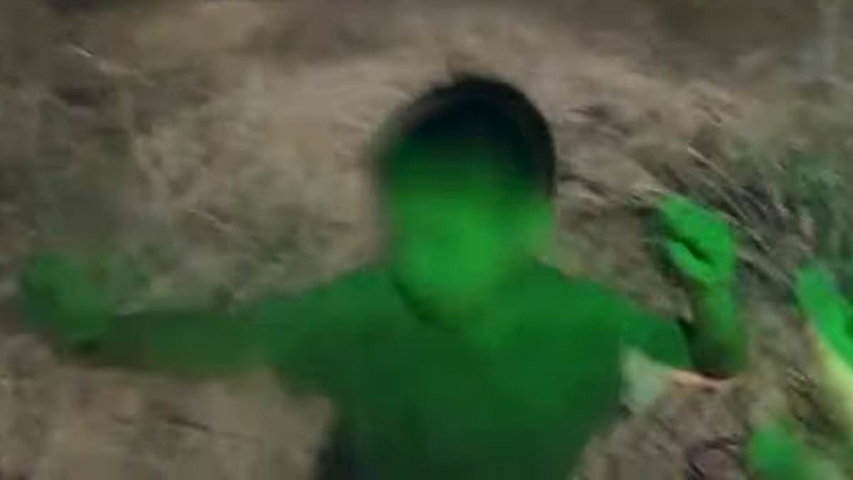 Frightened boy, 5, filmed being rescued from Arizona desert after wandering off with his dog