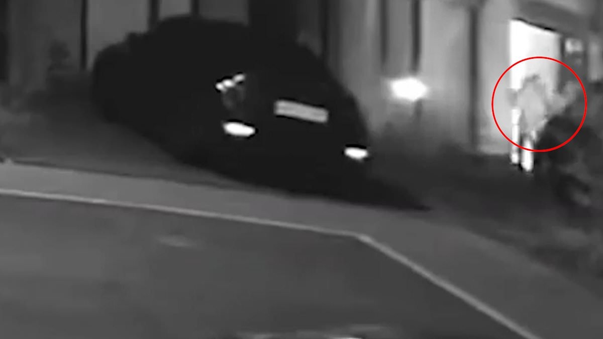 Moment vicious gang swarm cocaine kingpin at quiet cul-de-sac hideaway before brutally torturing and murdering him - after being given his address by vengeful ex-wife