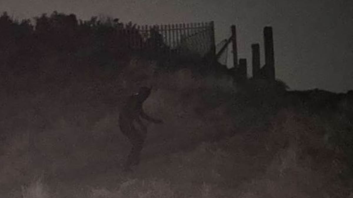 Mystery figure terrorises neighbourhood by prowling the streets - dressed as a black cat