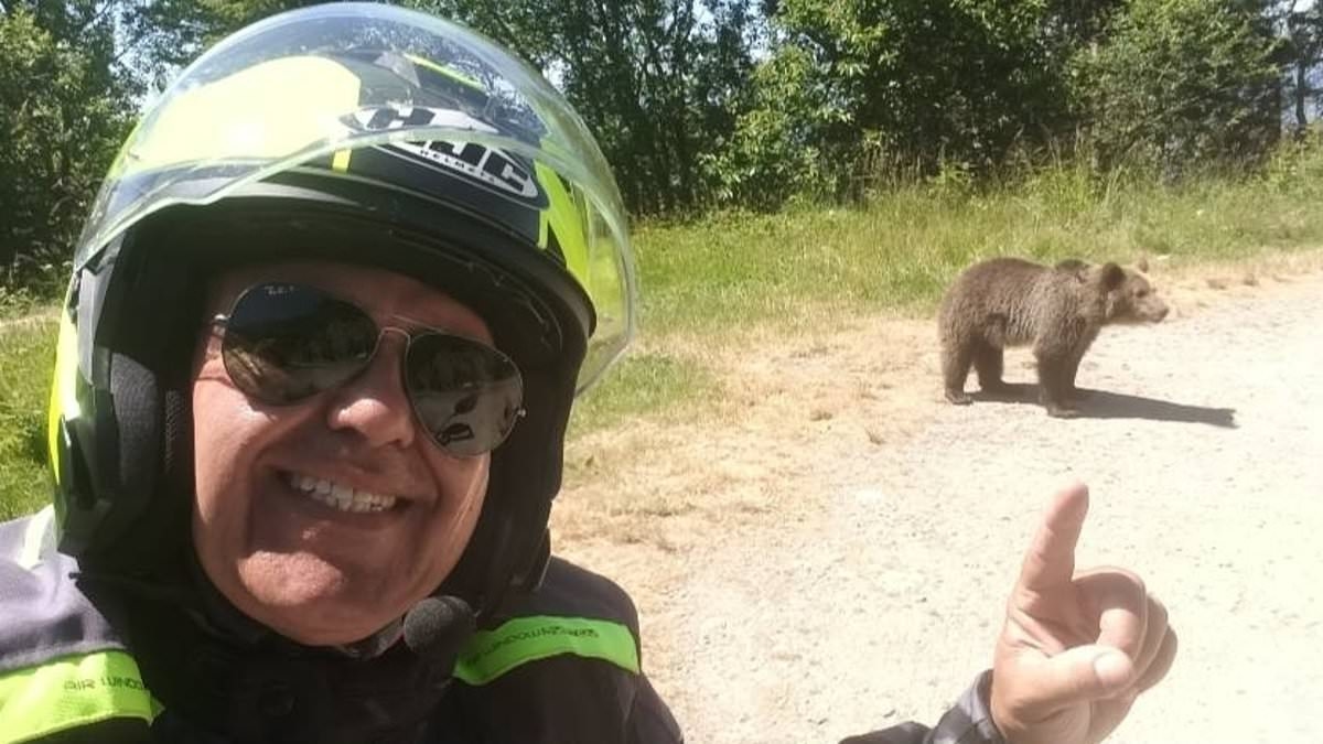 Tourist is dragged into a ravine and killed by bear after posing for selfie with its cub in Romania