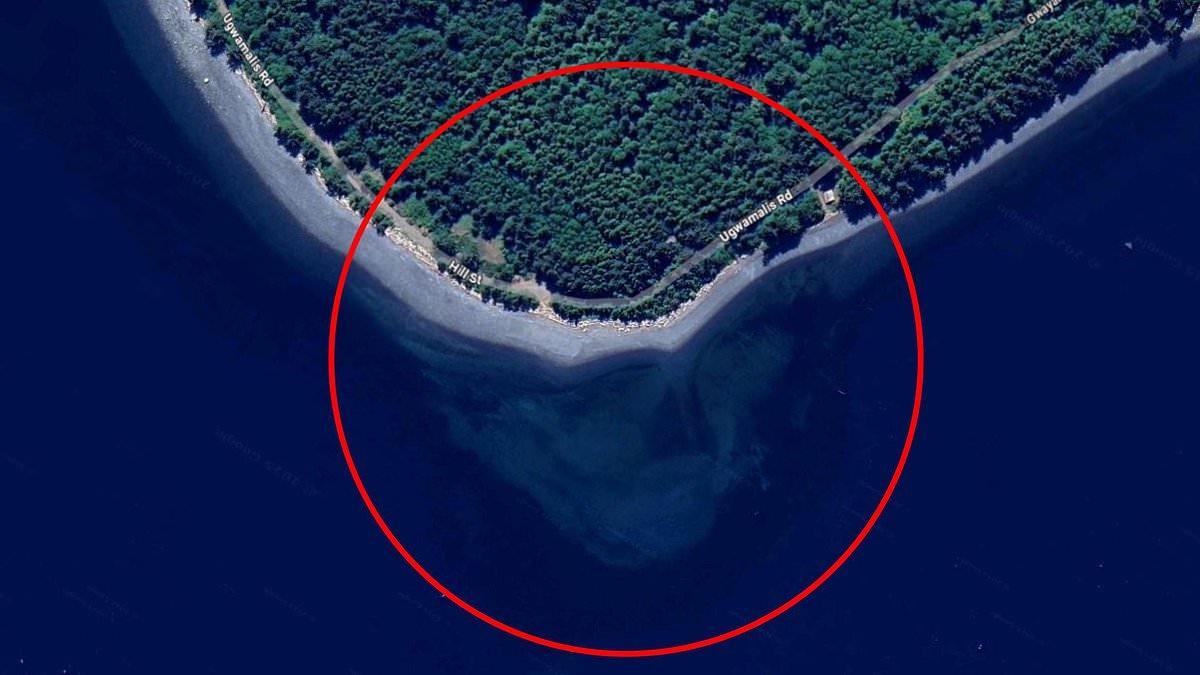 Google Maps users are baffled after spotting a mysterious SKULL off the coast of a Canadian island - as one claims it was created by 'alien visitors'