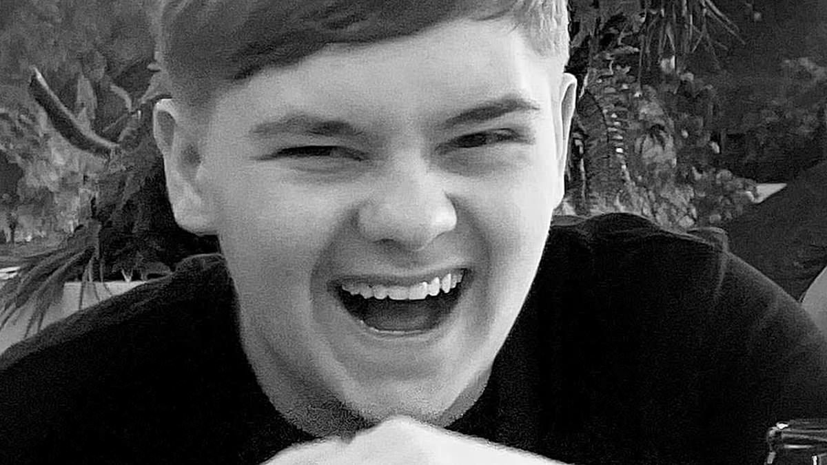 Harvey Willgoose's best friend told police after schoolboy's death that his killer, 15, was 'always carrying a weapon' - including 'a little axe and knives', court told