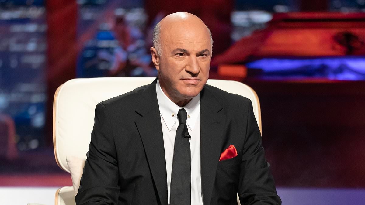 EXCLUSIVE 'I'm confident': Shark Tank's Kevin O'Leary reveals why he'll soon own TikTok... and the 'missing piece' of the puzzle that guarantees it