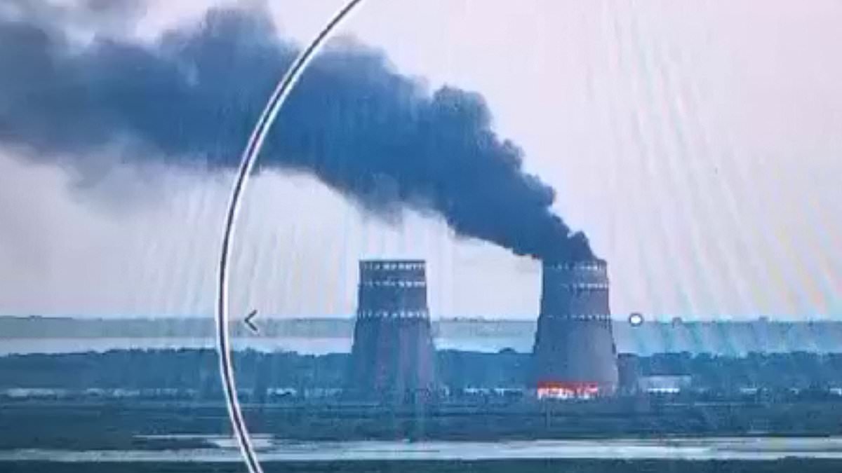 Ukraine nuclear power plant alert