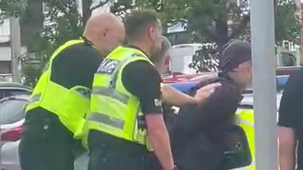 Bird brains! Moment man is surrounded by police and arrested after feeding pigeons in town centre