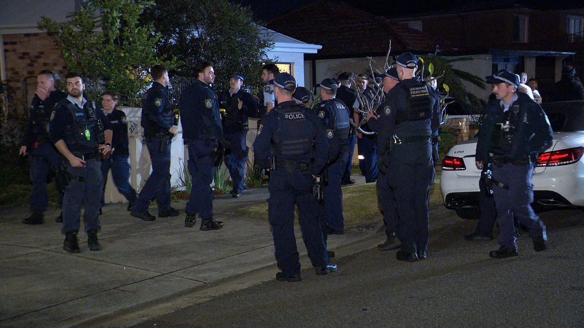 Horror as a teen is stabbed with machetes after a house party erupted into a wild brawl in Sydney's east