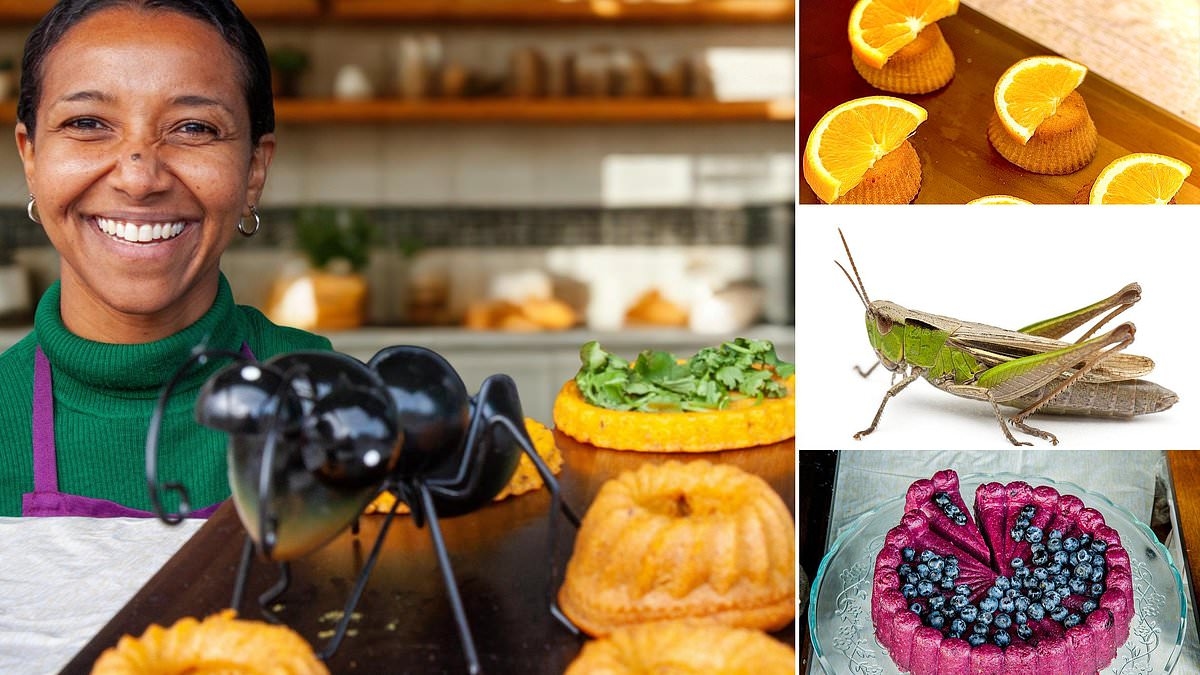 Would you eat this? Meet the café owner who sells nothing but food made from insects!