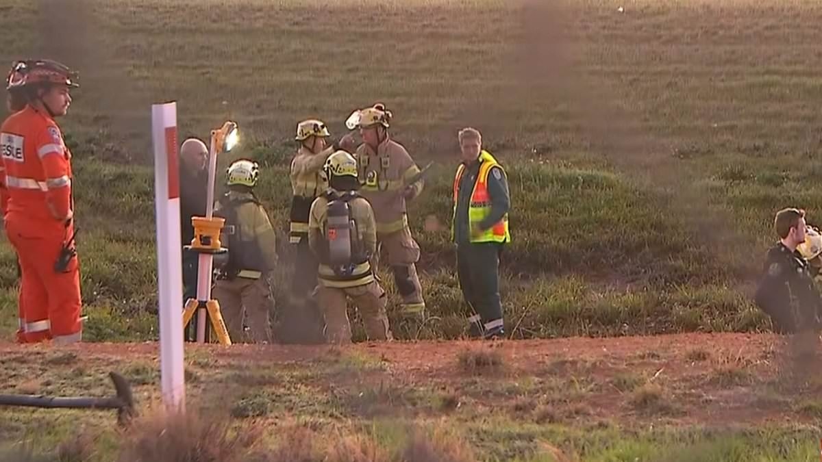 BREAKING NEWS Bizarre incident shuts down major Aussie airport as dark figure is seen on the runway before fleeing into stormwater drain