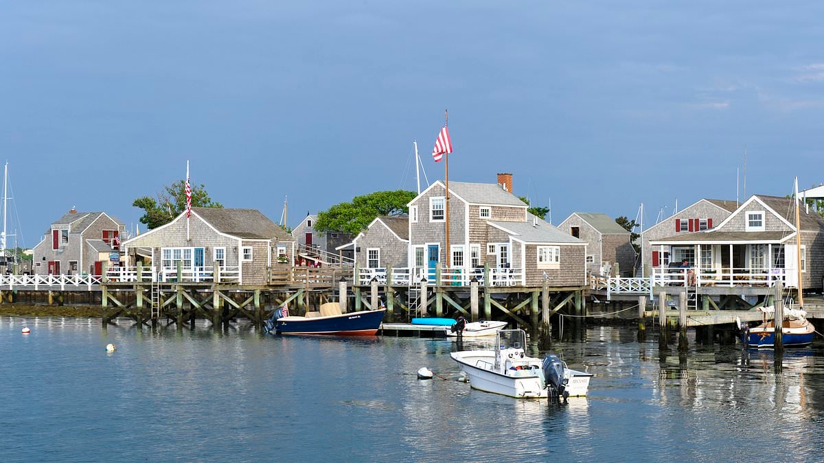 Property wars break out on lavish island after man 'cuts down his neighbor's tree to give himself an ocean view'