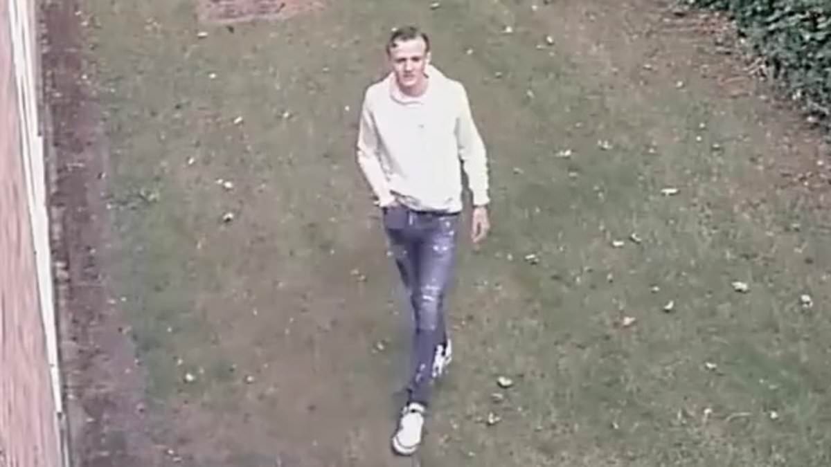 Urgent hunt launched after girl, 15, 'raped' near library: Police release CCTV of man