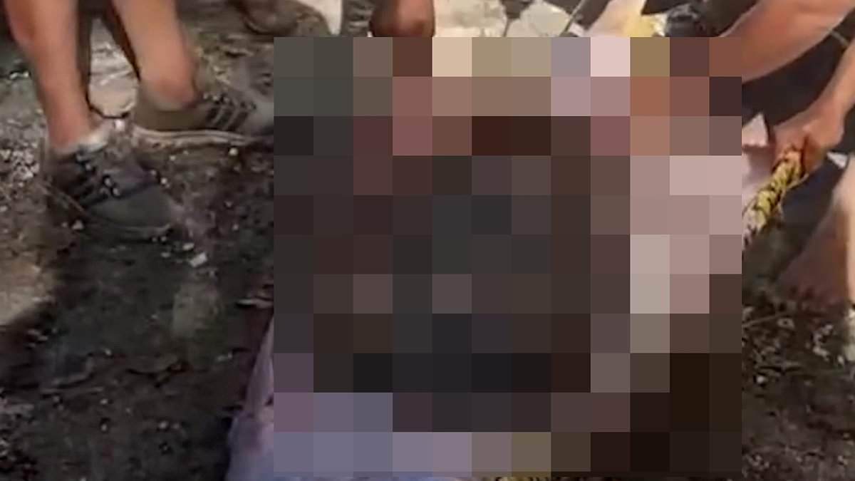 Gruesome moment man is found dead inside a 28ft python after the beast crushed then devoured him as he fed his chickens in Indonesia