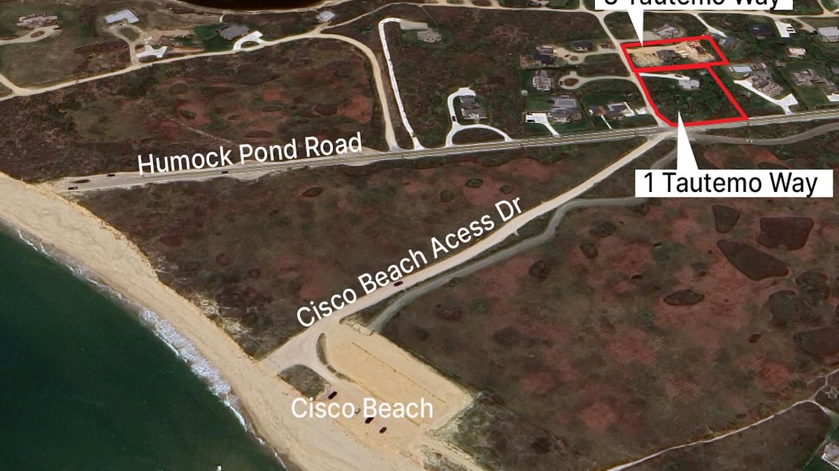 Nantucket property wars after man 'cuts down neighbor's trees'
