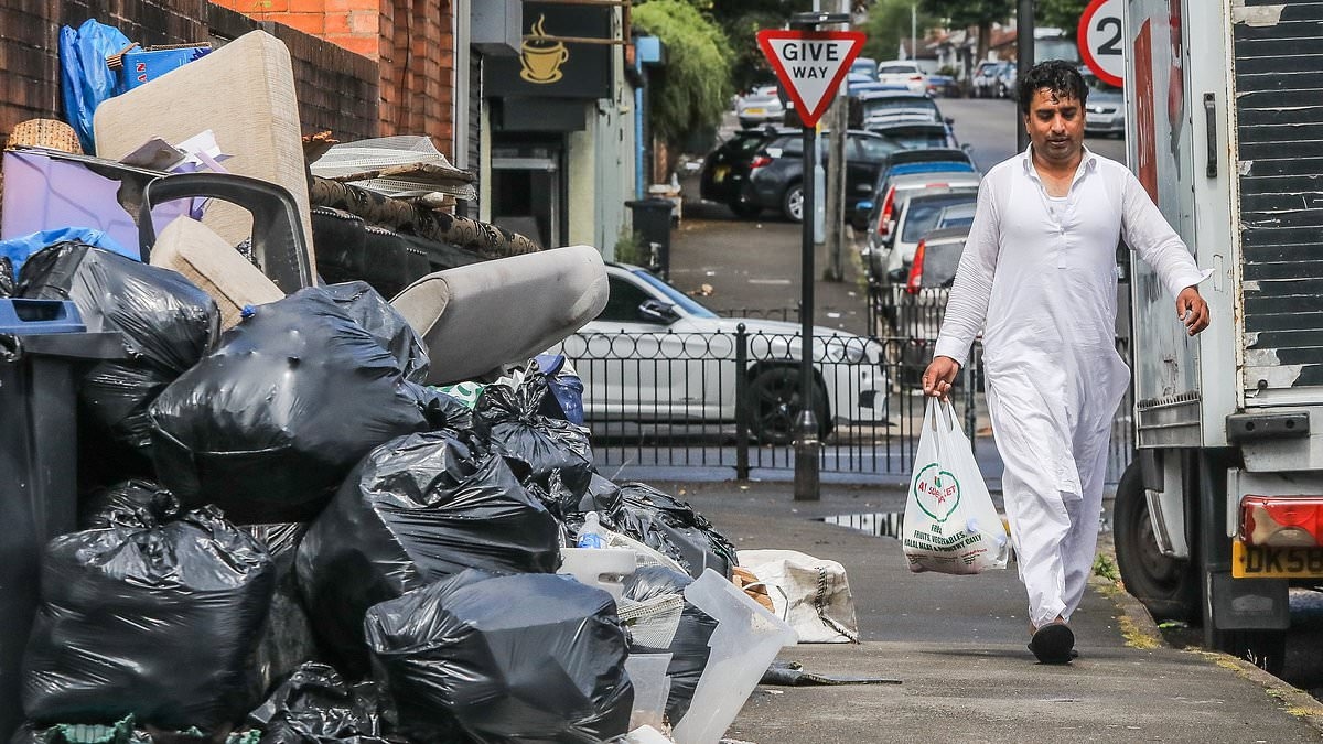 No end for Birmingham's rubbish apocalypse: Six months on the city's streets are still buried under mounds of bags of garbage as strike continues
