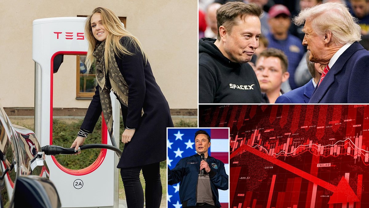 Wall Street punishes Tesla as Musk starts an anti-Trump political party: 'Off the rails'