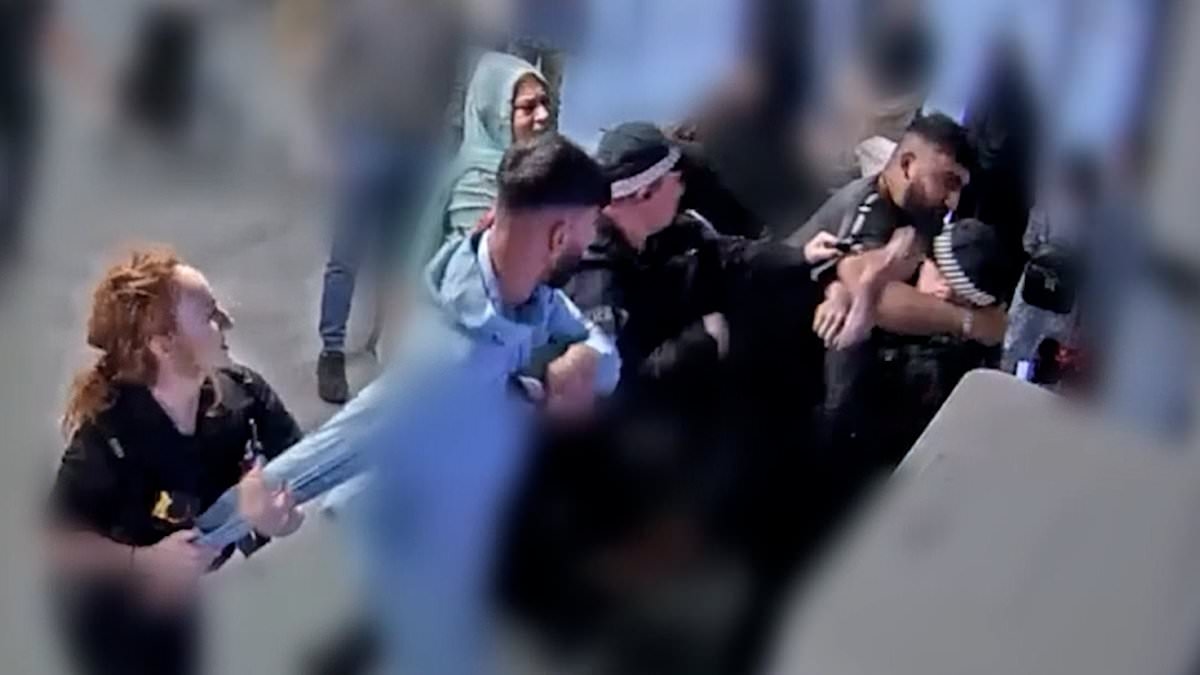 New footage shows moment two brothers 'assaulted police officers trying to arrest them at Manchester Airport'