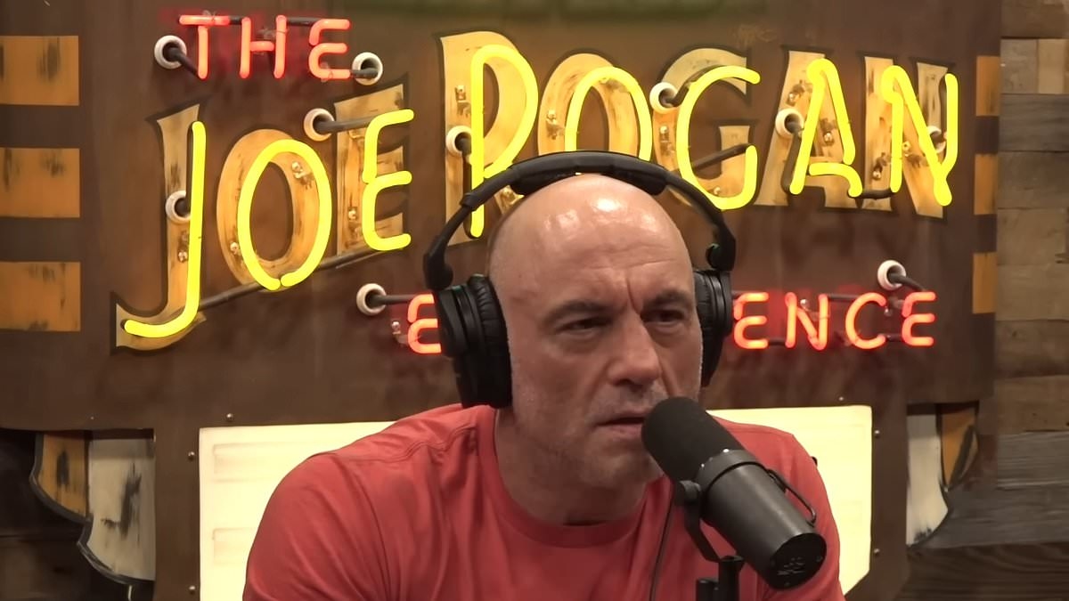 Joe Rogan is SLAMMED by Hollywood actor for calling out Donald Trump's 'insane' ICE raids
