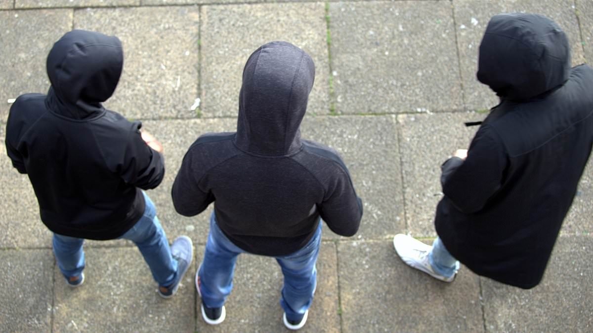 Just HALF of school leavers are 'work-ready' with four in ten never having done any work experience