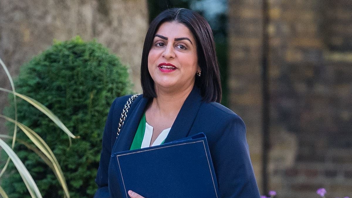 EXCLUSIVE Government sentencing review will recommend 'out-of-court resolutions' for thousands of thieves, thugs and addicts: Critics rage at 'a green light to shoplift and do drugs'