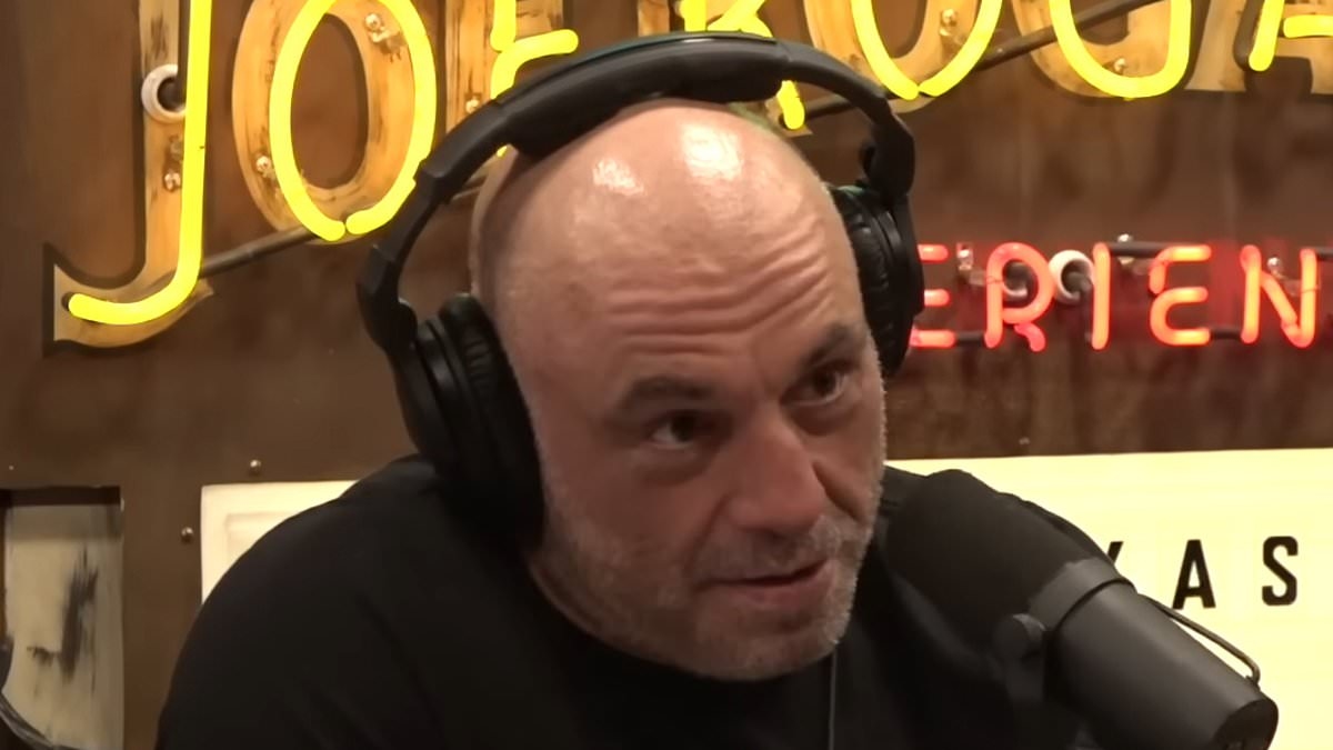 Joe Rogan flips the God debate on its head with shocking theory that 'we created him'
