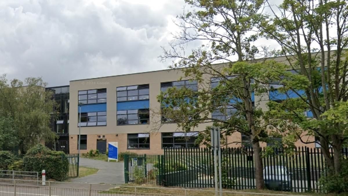 Manhunt launched after girl 'forced into Audi near school': Police release details of 'attempted kidnapper'