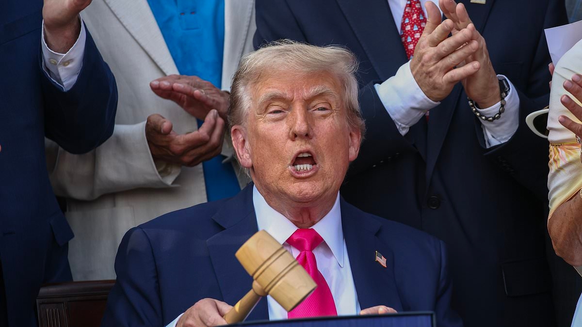 Democrats accused of urging violence against Trump agenda