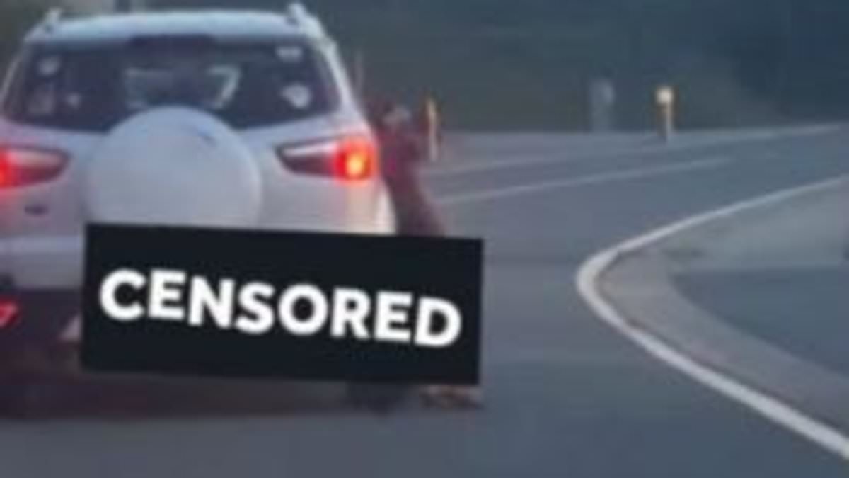 Thug is filmed killing his dog by dragging it behind his car at 50mph for several miles - before online vigilantes track him down in Belgium and burn down his house in ‘attempted murder'