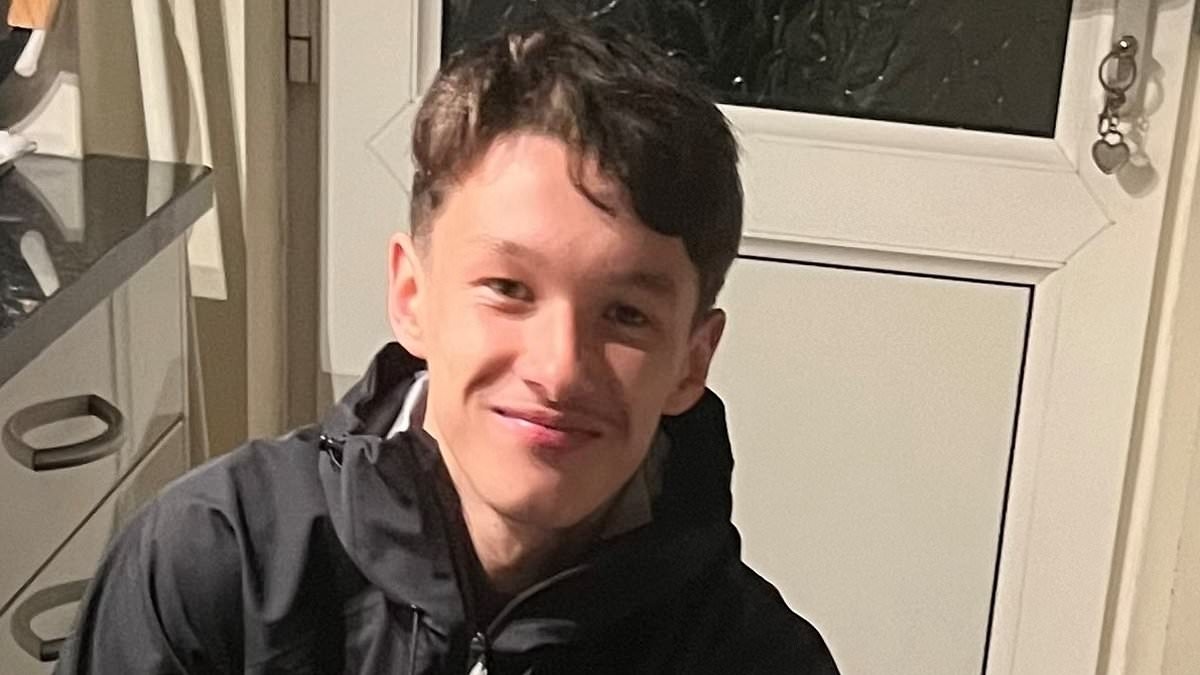 Pictured: Second boy, 16, who died in railway tracks tragedy as family pay tribute to 'cherished son, grandson and brother'