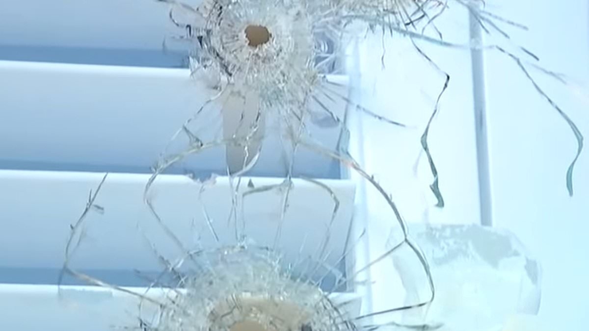 Trump supporter in deep blue city refuses to remove an incendiary sign as home is shot up for THIRD time