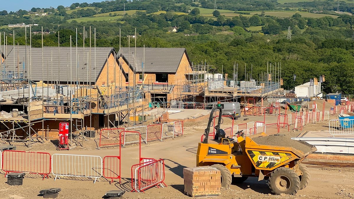 Housebuilders pledge £100m for affordable homes but deny keeping prices high after competition probe