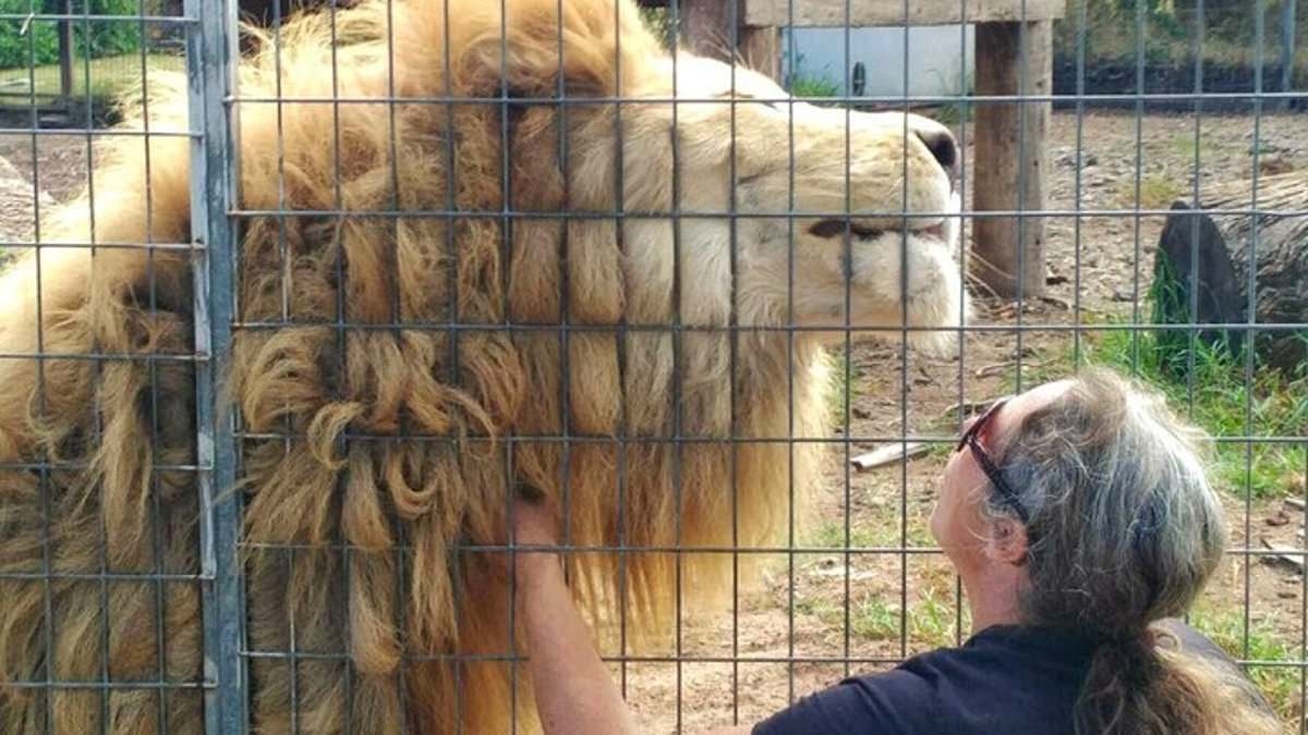 EXCLUSIVE The astonishing detail in the sales pitch for the zoo where a lioness ripped off the arm of the owner's sister - as it goes BACK on the market for a cut-price $6million...with all the wild animals included