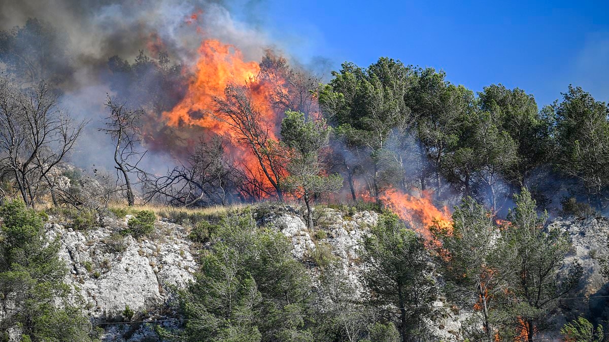 Europe's freak back-to-back heat-domes killed 2,300 in eight days study finds