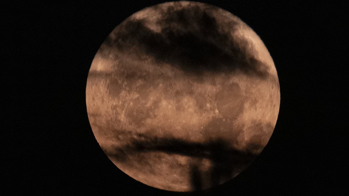 'Moon Illusion' will appear in the night sky TOMORROW... here's how to see the visual phenomenon