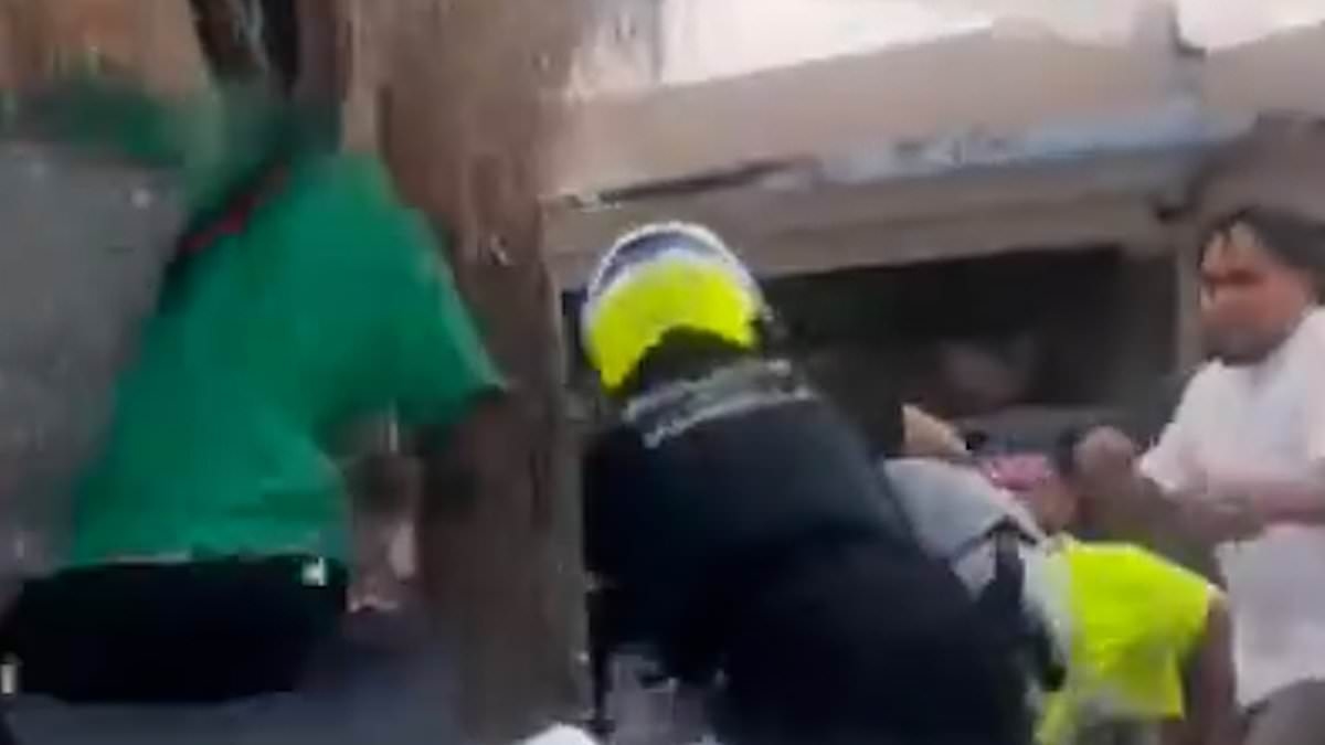 Shocking moment British tourists leap out of the way as violent brawl breaks out around them between cops and street sellers at Marbella restaurant