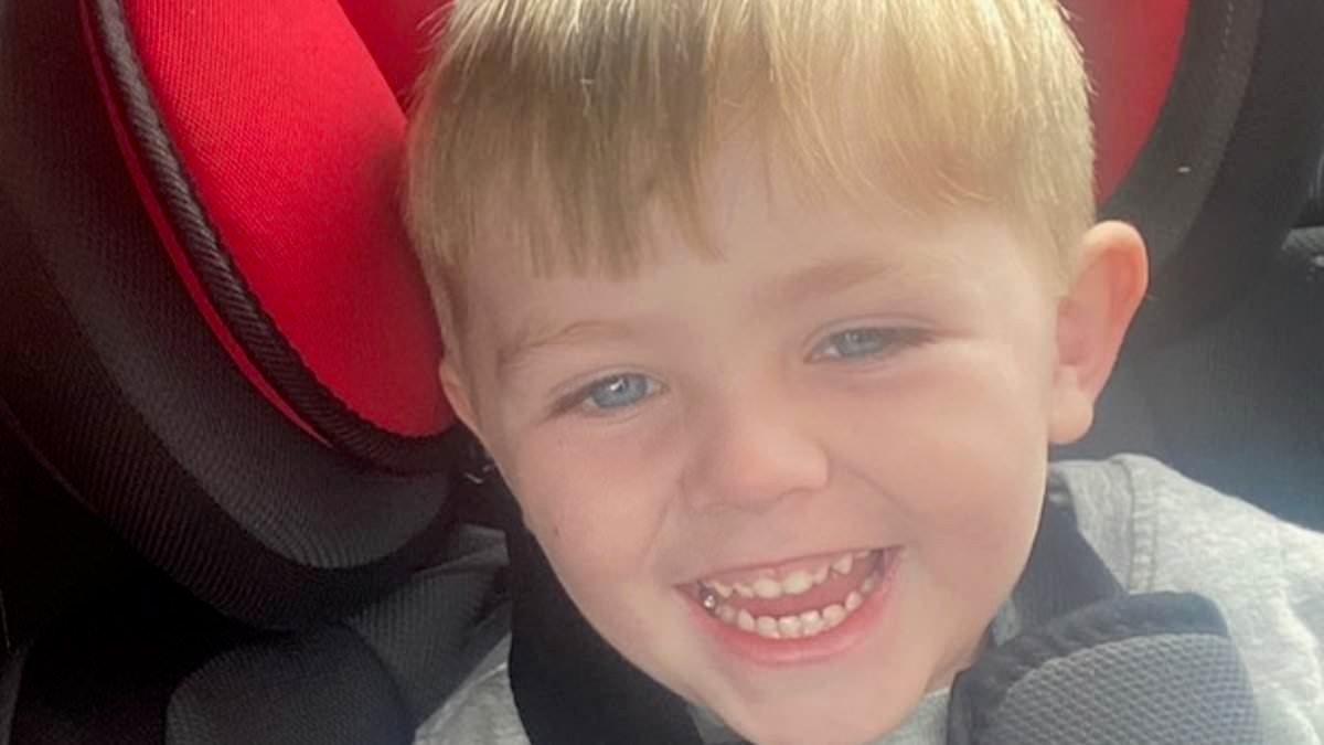 Revealed: Authorities missed FOUR chances to save five-year-old boy who was murdered by his own mother