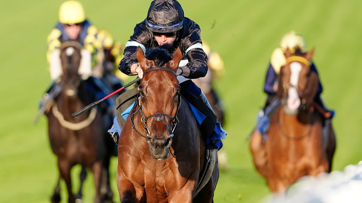 Robin Goodfellow's racing tips: Best bets for Friday, July 11