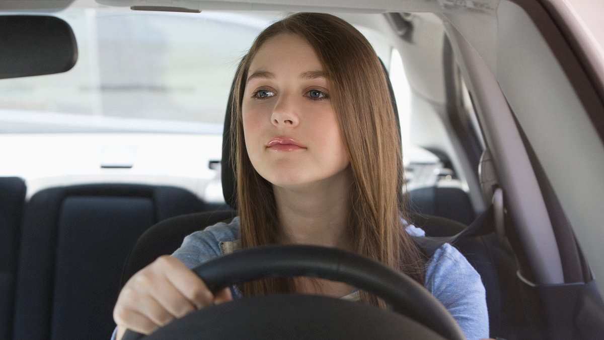 New driver law hits Florida - failure to follow rules may lead to ban