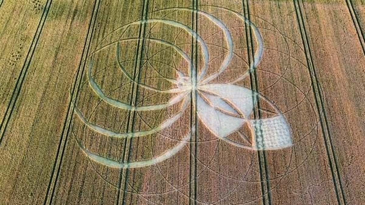 Police probe is launched after farmer's field is damaged by crop circle hoaxers