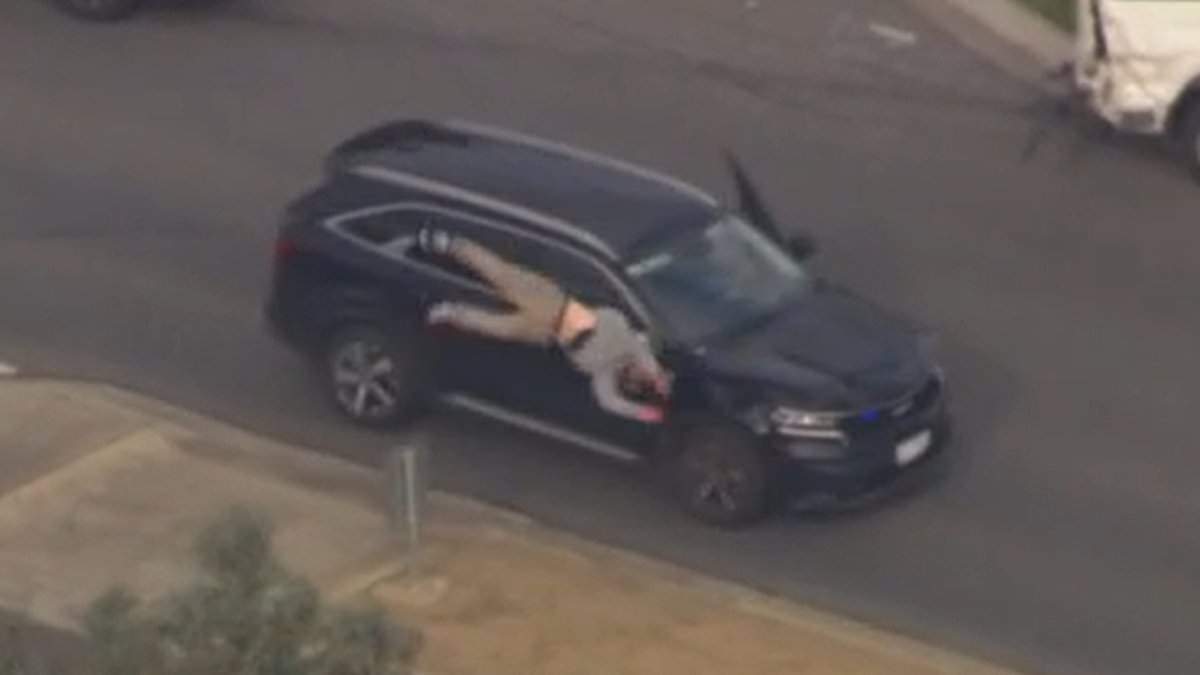 Wild moment man jumps out of a moving van seconds before he is mowed down by cops after seven-hour car chase