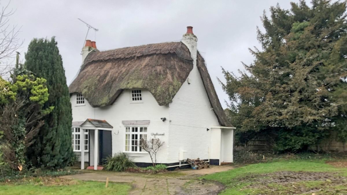 EXCLUSIVE Thatched cottage's previous owners were 'surprised and 'disappointed' when 300-year-old local landmark was torn down as they reveal: 'We didn't sell it to be demolished'